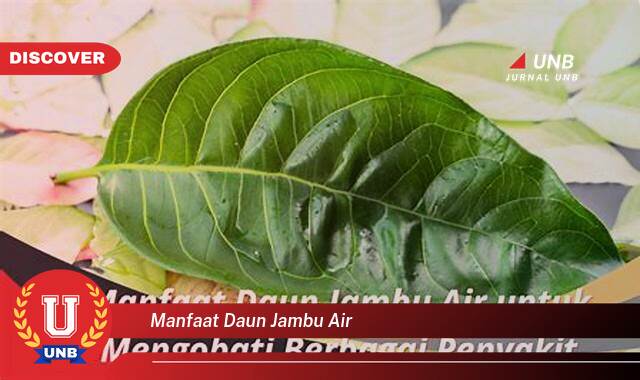 Temukan 8 Manfaat Daun Jambu Air untuk Kesehatan, Kecantikan, dan Cara Pengolahannya