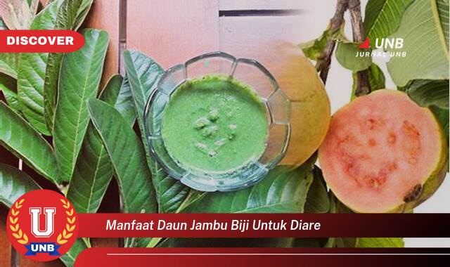 Temukan 10 Manfaat Daun Jambu Biji untuk Diare, Redakan Gejala dan Pulih Lebih Cepat