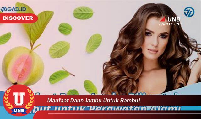Inilah 9 Manfaat manfaat daun jambu untuk rambut yang Bikin Kamu Penasaran