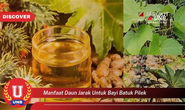 Temukan 9 Manfaat Daun Jarak untuk Meredakan Batuk Pilek pada Bayi Secara Alami