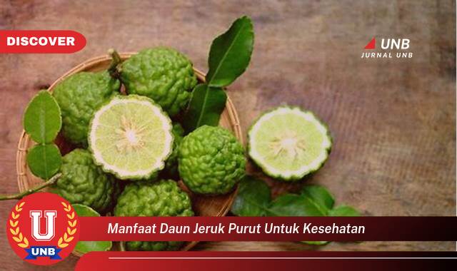 Ketahui 10 Manfaat manfaat daun jeruk purut untuk kesehatan yang Wajib kamu ketahui
