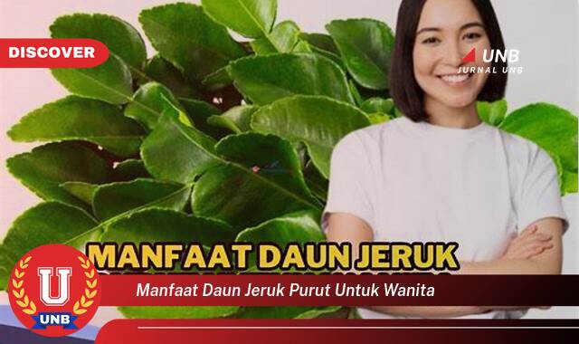 Inilah 10 Manfaat manfaat daun jeruk purut untuk wanita yang tidak Semua Orang Tau