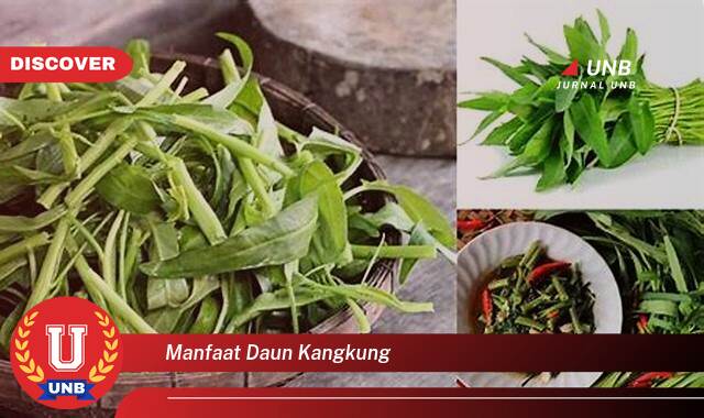 Temukan 9 Manfaat Daun Kangkung untuk Kesehatan, Dari Nutrisi Hingga Pengobatan Tradisional