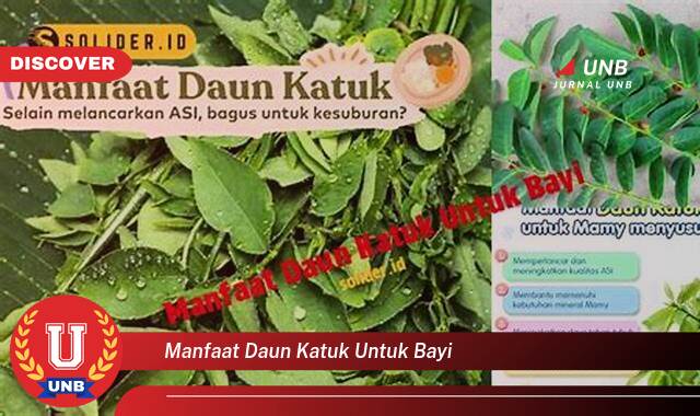 Temukan 9 Manfaat Daun Katuk untuk Bayi, Meningkatkan Produksi ASI dan Kesehatan Ibu Menyusui