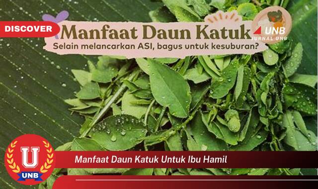 Temukan 10 Manfaat Daun Katuk untuk Ibu Hamil, Meningkatkan Kualitas ASI dan Kesehatan Bayi