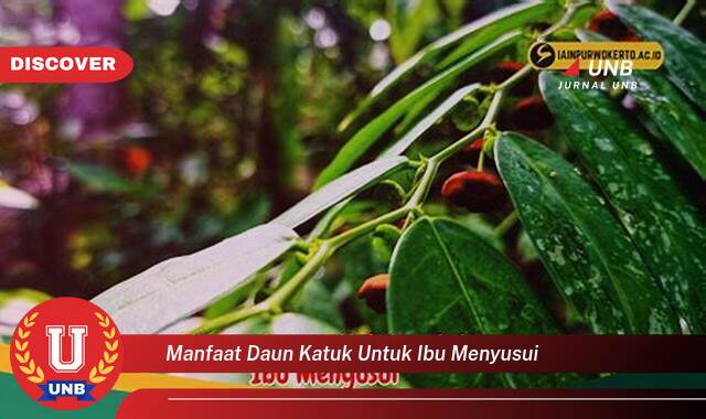 Temukan 10 Manfaat Daun Katuk untuk Ibu Menyusui, Meningkatkan Produksi ASI dan Kesehatan Bayi