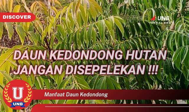 Temukan 8 Manfaat Daun Kedondong untuk Kesehatan Tubuh Anda