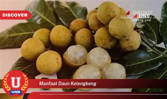 Temukan 8 Manfaat Daun Kelengkeng untuk Kesehatan Anda, Dari Mengatasi Diabetes hingga Meningkatkan Imunitas