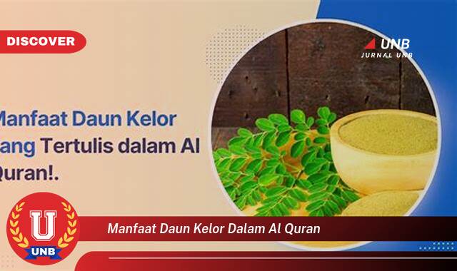 Temukan 10 Manfaat Daun Kelor yang Disebutkan dalam Al,Quran dan Hadits