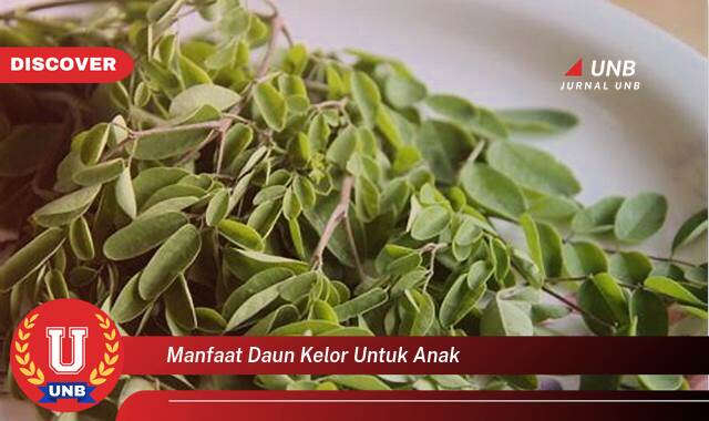 Temukan 9 Manfaat Daun Kelor untuk Anak, Meningkatkan Imunitas, Tumbuh Kembang Optimal, dan Kesehatan Tulang