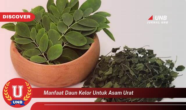 Temukan 8 Manfaat Daun Kelor untuk Asam Urat, Redakan Nyeri dan Peradangan Secara Alami