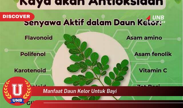 Temukan 9 Manfaat Daun Kelor untuk Bayi, Nutrisi Penting dan Cara Aman Mengolahnya