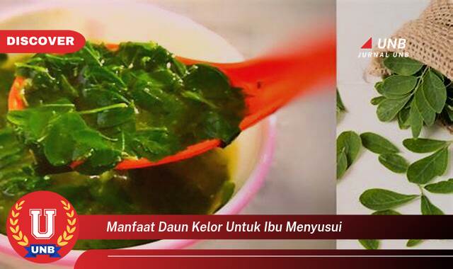 Temukan 9 Manfaat Daun Kelor untuk Ibu Menyusui, Meningkatkan Kualitas & Kuantitas ASI