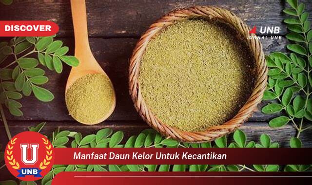9 Manfaat manfaat daun kelor untuk kecantikan yang tidak Semua Orang Tau