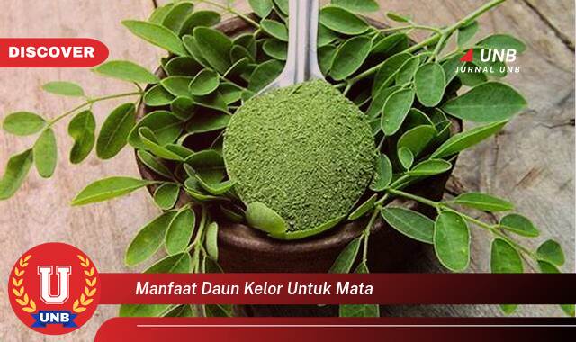 Temukan 9 Manfaat Daun Kelor untuk Mata, Meningkatkan Kesehatan Penglihatan Secara Alami