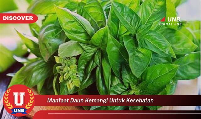 Temukan 9 Manfaat Daun Kemangi untuk Kesehatan, 10 Khasiat Luar Biasa yang Tak Terduga Temukan 9 Manfaat Daun Kemangi untuk Kesehatan, 10 Khasiat Luar Biasa yang Tak Terduga