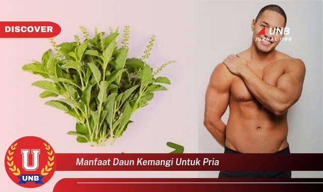 Temukan 10 Manfaat Daun Kemangi untuk Kesehatan Pria, Meningkatkan Stamina dan Vitalitas