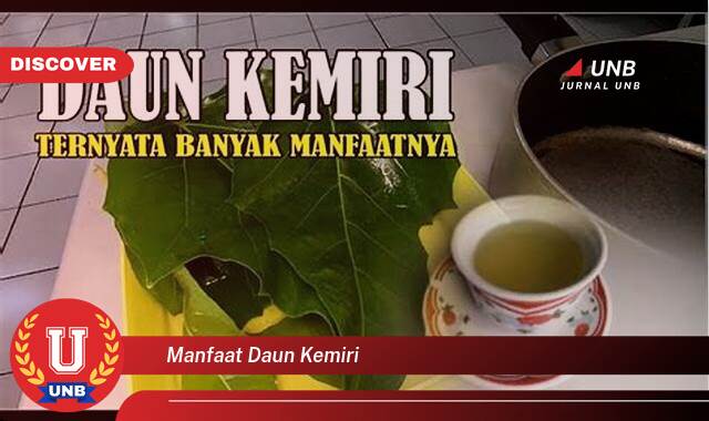8 Manfaat manfaat daun kemiri yang Bikin Kamu Penasaran