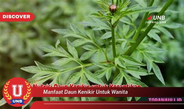 Temukan 8 Manfaat Daun Kenikir untuk Wanita, Meningkatkan Kesehatan Kulit, Rambut, dan Kesuburan Temukan 8 Manfaat Daun Kenikir untuk Wanita, Meningkatkan Kesehatan Kulit, Rambut, dan Kesuburan
