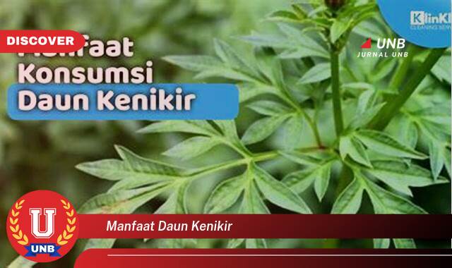 Temukan 9 Manfaat Daun Kenikir untuk Kesehatan, Dari Meningkatkan Imunitas Hingga Menyehatkan Tulang