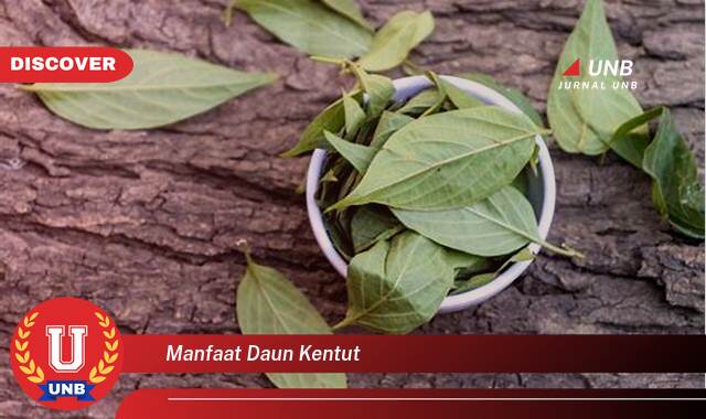 Temukan 9 Manfaat Daun Kentut untuk Kesehatan, Mengatasi Sembelit, Maag, dan Masalah Pencernaan Lainnya