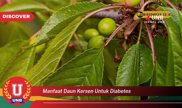 Temukan 10 Manfaat Daun Kersen untuk Mengontrol Diabetes Secara Alami