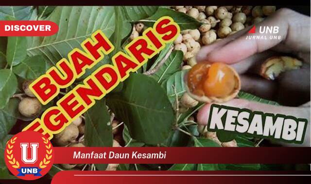 9 Manfaat manfaat daun kesambi yang Jarang Diketahui