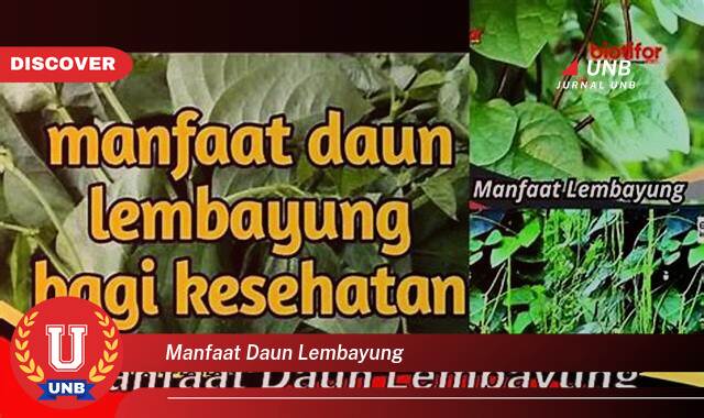 Temukan 10 Manfaat Daun Lembayung untuk Kesehatan dan Kecantikan Kulit Anda