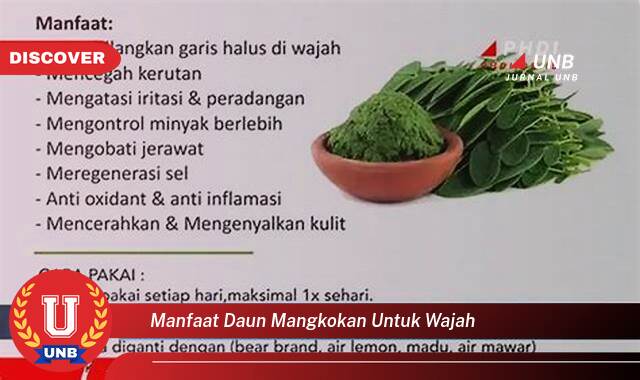 Temukan 9 Manfaat Daun Mangkokan untuk Wajah,  Rahasia Kulit Cantik Alami