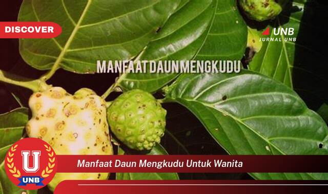 Temukan 8 Manfaat Daun Mengkudu untuk Wanita,  Atasi Nyeri Haid, Lancarkan Siklus, dan Tingkatkan Kesehatan Kulit