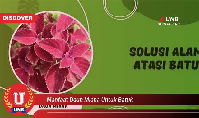 Ketahui 8 Manfaat manfaat daun miana untuk batuk yang Bikin Kamu Penasaran