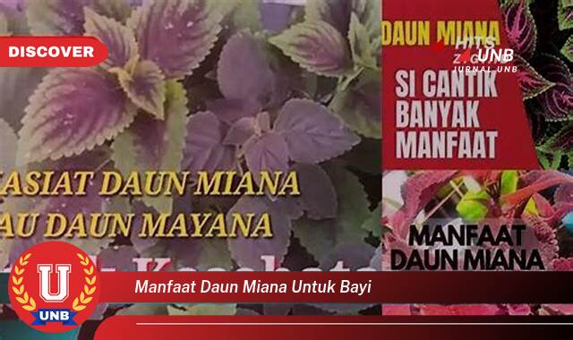 Temukan 9 Manfaat Daun Miana untuk Bayi, Keamanan, Cara Pakai, dan Efek Samping