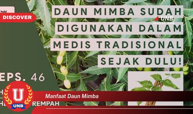 Temukan 10 Manfaat Daun Mimba untuk Kesehatan, Khasiat, Cara Pakai, dan Efek Samping Temukan 10 Manfaat Daun Mimba untuk Kesehatan, Khasiat, Cara Pakai, dan Efek Samping