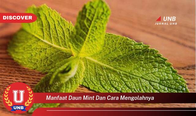 Temukan 10 Manfaat Daun Mint untuk Kesehatan dan Cara Mengolahnya dengan Mudah