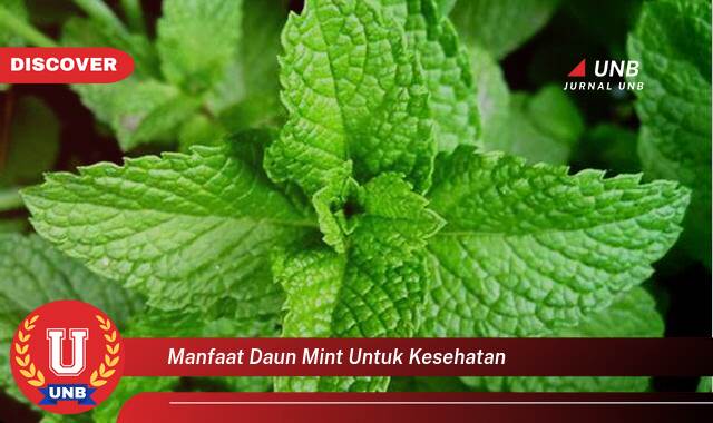 Temukan 8 Manfaat Daun Mint untuk Kesehatan, Dari Pencernaan hingga Pernapasan