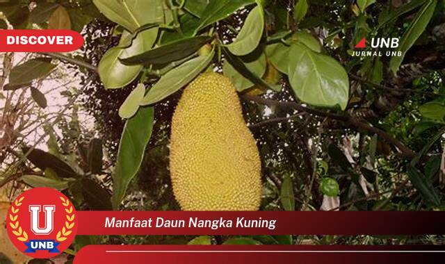 Temukan 10 Manfaat Daun Nangka Kuning untuk Kesehatan Anda