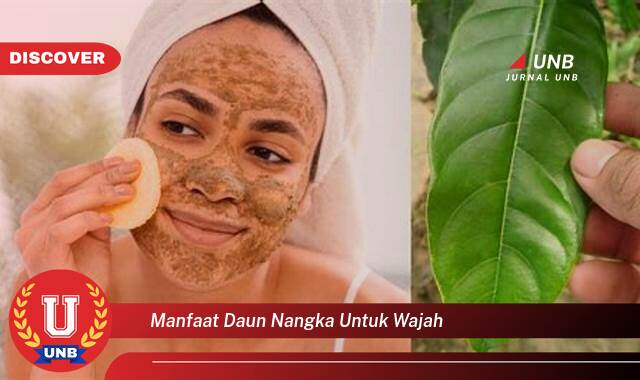 8 Manfaat manfaat daun nangka untuk wajah yang Wajib Kamu Intip