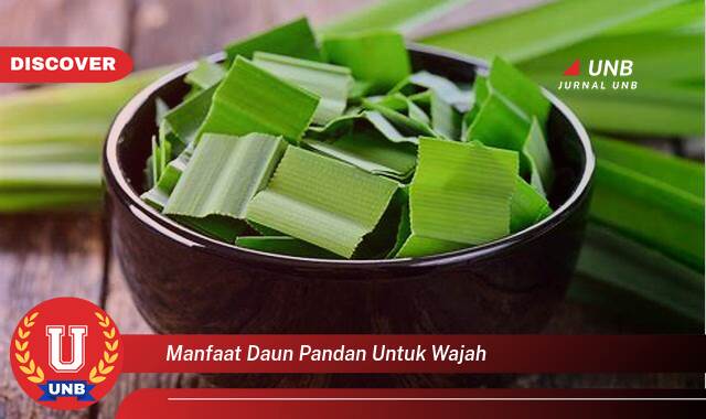 Ketahui 8 Manfaat manfaat daun pandan untuk wajah yang Wajib Kamu Intip