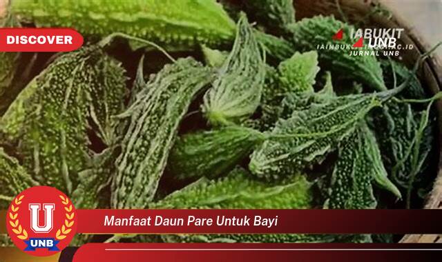 Ketahui 10 Manfaat manfaat daun pare untuk bayi yang tidak Semua Orang Tau