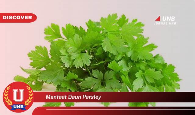 Temukan 8 Manfaat Daun Parsley untuk Kesehatan, Kecantikan, dan Masakan Anda Temukan 8 Manfaat Daun Parsley untuk Kesehatan, Kecantikan, dan Masakan Anda