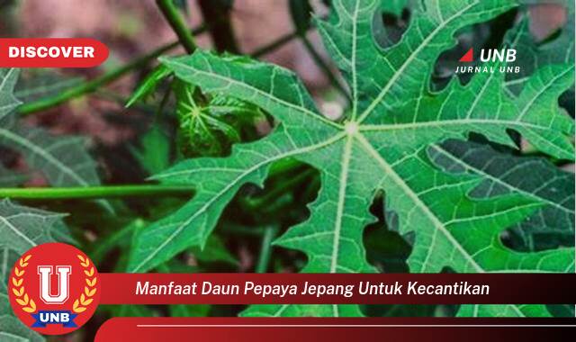 Temukan 10 Manfaat Daun Pepaya Jepang untuk Kecantikan Kulit Wajah dan Rambut Anda