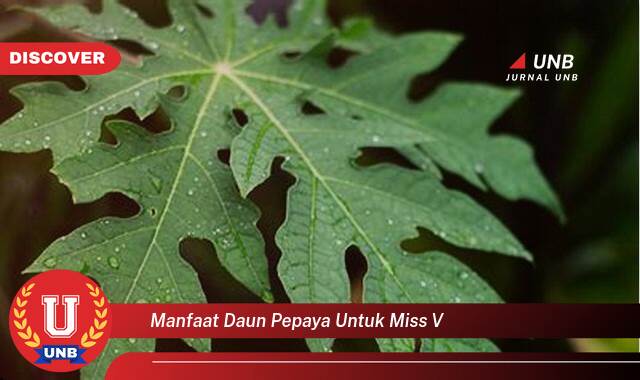 Temukan 10 Manfaat Daun Pepaya untuk Kesehatan Miss V dan Cara Menggunakannya