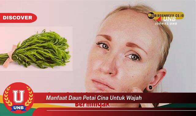Temukan 10 Manfaat manfaat daun petai cina untuk wajah yang Jarang Diketahui