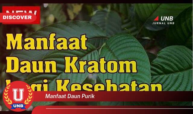 Temukan 9 Manfaat Daun Purik untuk Kesehatan Anda, Dari Mengatasi Asam Urat Hingga Menjaga Sistem Imun