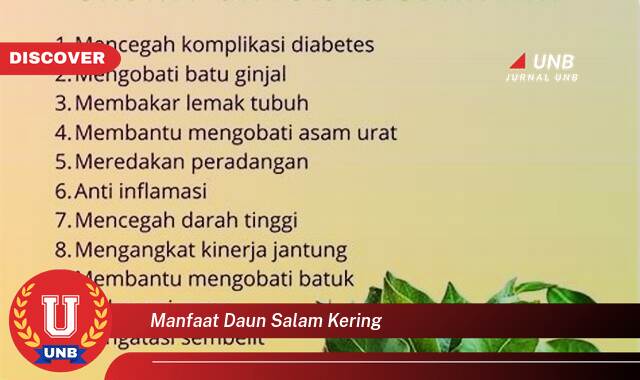 Temukan 10 Manfaat Daun Salam Kering untuk Kesehatan Anda yang Luar Biasa