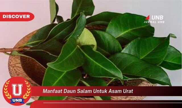 Temukan 9 Manfaat Daun Salam untuk Asam Urat, Redakan Nyeri dan Peradangan Secara Alami