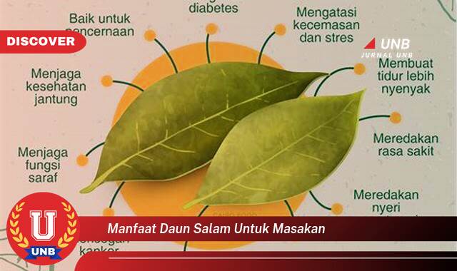 Temukan 10 Manfaat manfaat daun salam untuk masakan yang Bikin Kamu Penasaran