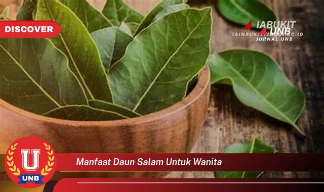 Temukan 10 Manfaat Daun Salam untuk Wanita, Kesehatan, Kecantikan, dan Cara Mengolahnya