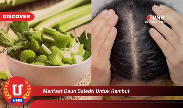 Temukan 8 Manfaat Daun Seledri untuk Rambut,  Stimulasi Pertumbuhan dan Kesehatan Alami