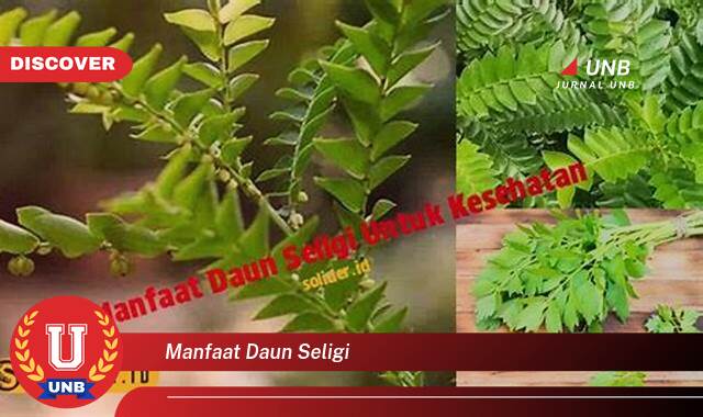 Temukan 9 Manfaat Daun Seligi untuk Kesehatan Tubuh Anda